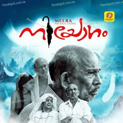 Piriyunnuvo Pozhiyunnuvo Akalangalil - Madhu Balakrishnan album cover 