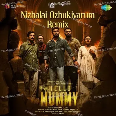 Nizhalai Ozhukivarum Remix - Bichu Thirumala album cover 