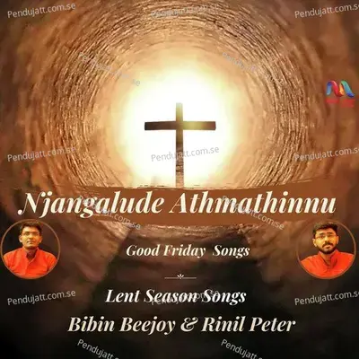 Njangalude Athmathinnu - Bibin Bejoy album cover 