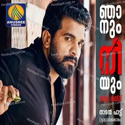 Njanyum Neeyum Nammal Thammil - Prasanth Nittoor album cover 
