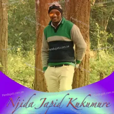Njida Japid Kukumure - Mangal Hansdah album cover 
