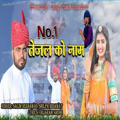 No 1 Tejal Ko Name - Salim Shekhawas album cover 
