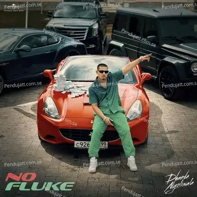 No Fluke - Dhanda Nyoliwala album cover 