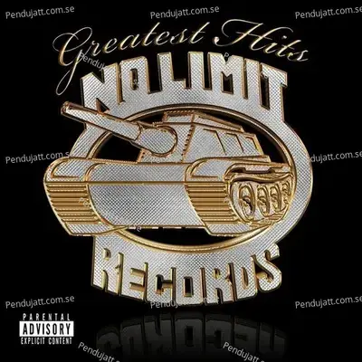 Aint No Limit - Mystikal album cover 