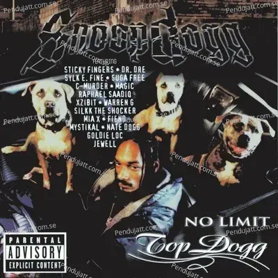 Party With A D p g - Snoop Dogg album cover 