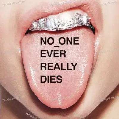 Dont Dont Do It - N.E.R.D album cover 