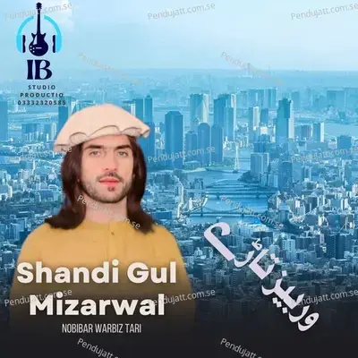 Nobibar Warbiz Tari - Shandi Gul Mizarwal album cover 