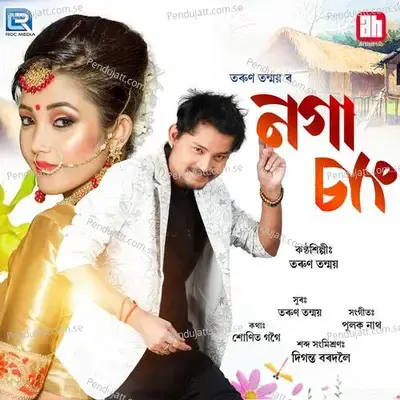 Noga Chang - Tarun Tanmoy album cover 