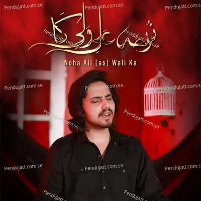 Noha Ali Wali Ka - Adnan Haider album cover 