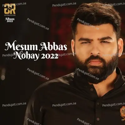 Saqqa E Sakina Abbas Abbas - Mesum Abbas album cover 