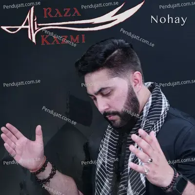 Aai Watan Main Zainab - Ali Raza Kazmi album cover 