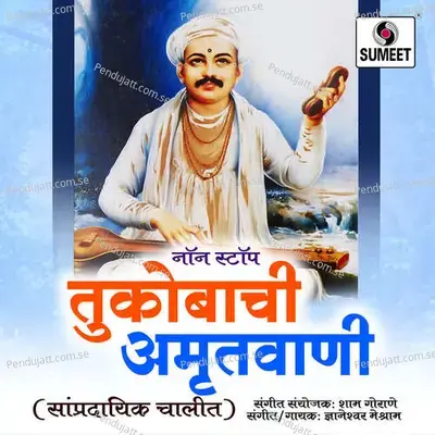 Non Stop Tukobachi Amrutwani - Dnyaneshwar Meshram album cover 
