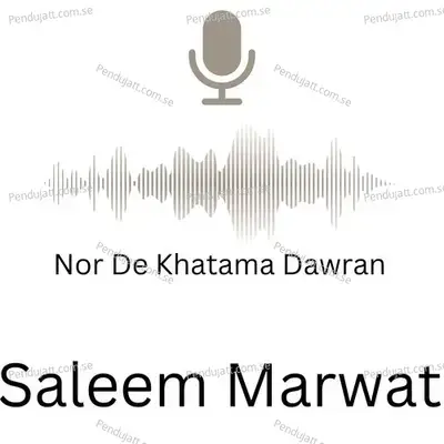 Nor De Khatama Dawran - Saleem Marwat album cover 