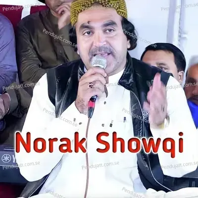 Pa Zanana Bazar Bala Qada - Norak Showqi album cover 