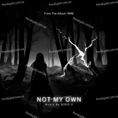 Not My Own - NIBIR X album cover 