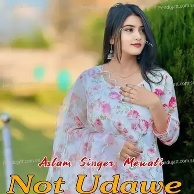 Not Udawe - Aslam Singer Mewati album cover 