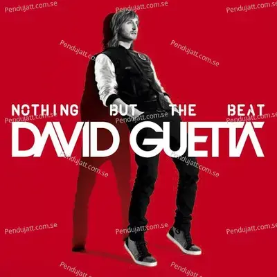 Nothing But The Beat - David Guetta cover album