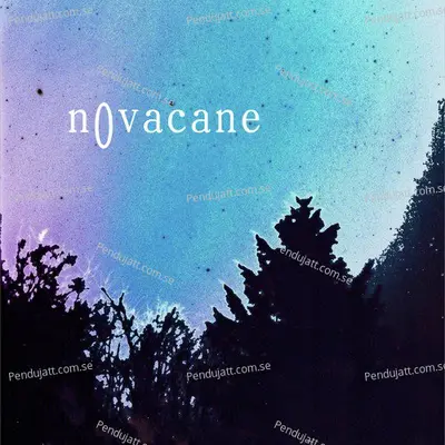 Novacane - Robert Lilly album cover 