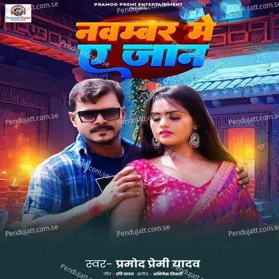 November Me Ae Jaan - Pramod Premi Yadav album cover 