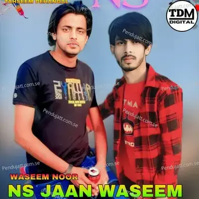 Ns Jaan Waseem - Tahseem Dehangal album cover 