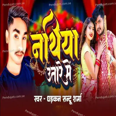 Nthiya Utare Me - Dhadkan Santu Sharma album cover 