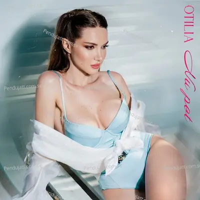 Nu Pot - Otilia album cover 