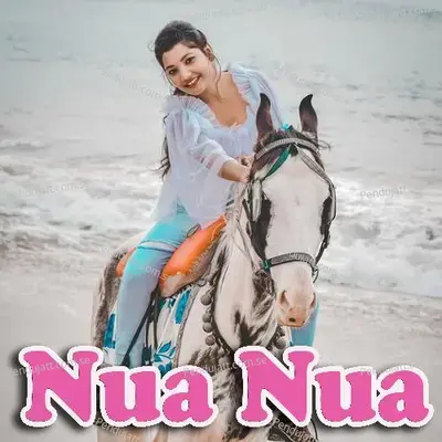 Nua Nua - Pritam album cover 
