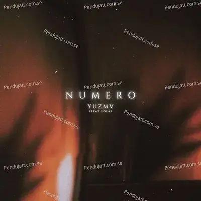 Starter Pack Collector Edition