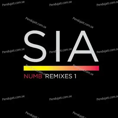 Numb Remixes 1 - Sia