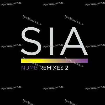 Numb Remixes 2 - Sia