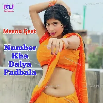 Number Kha Dalya Padbala - Meena geet album cover 