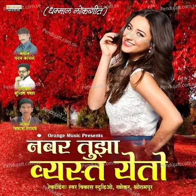 Number Tuza Vyast Yeto - Vikas Salve album cover 