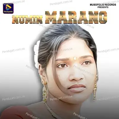 Numin Marang - Geeta Baskey album cover 