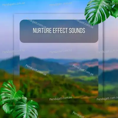 Nurture Effect Sounds - Lakhan Hire album cover 