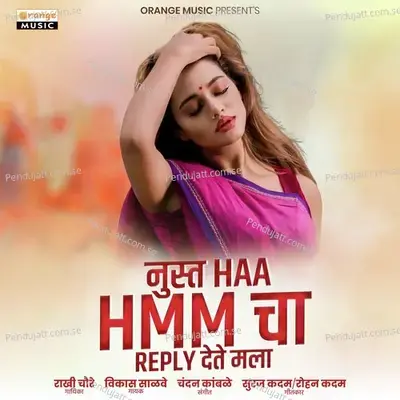 Nust Haa Hmm Cha Reply Dete Mala - Vikas Salve album cover 