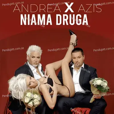 Nyama Druga - Andrea album cover 