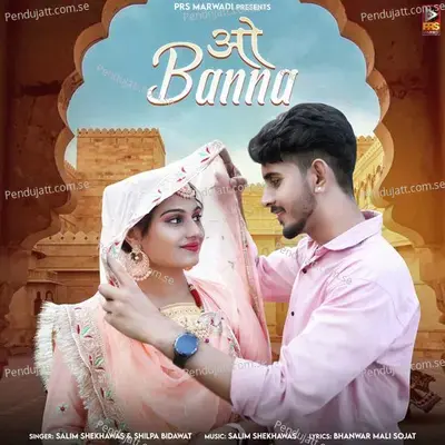 O Banna - Salim Shekhawas album cover 