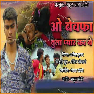 O Bewafa Tula Pyar Kar Ye - Anil Kuwar album cover 