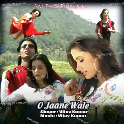 O Jaane Wale - Vijay Kumar album cover 