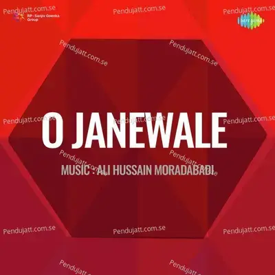 O Janewale - Ali Hussain Moradabadi cover album