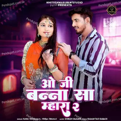 O Ji Banna Sa Mhara 2 - Salim Shekhawas album cover 
