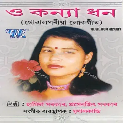 Dile Mane Na - Hamida Sarkar album cover 