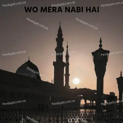 O Mera Nabi He - Syed Hassan Ullah Hussani album cover 