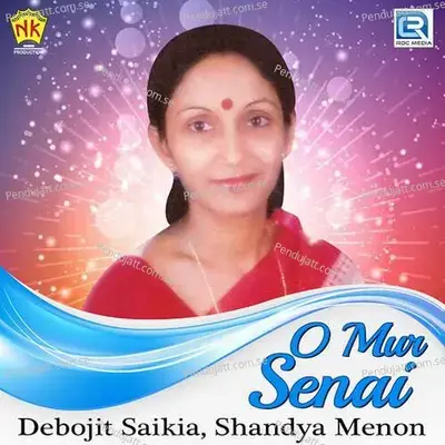 Bihure Botorot - Shandya Menon album cover 