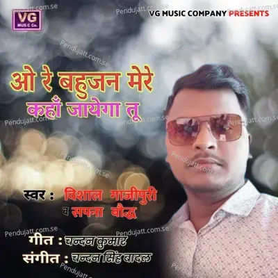 O Re Bahujan Mere Kahan Jayegatu - Vishal Ghazipuri album cover 