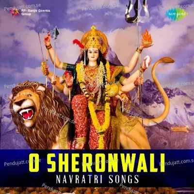 Solah Shukravar Bidhi Anusar - Ravindra Jain album cover 
