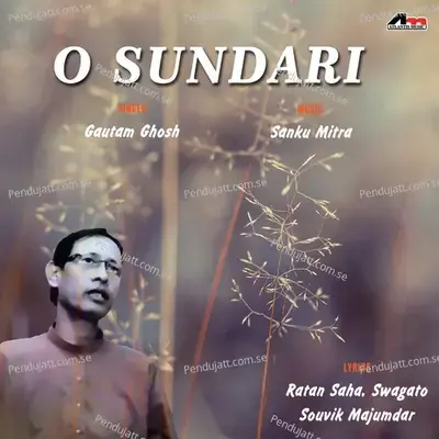 Aamar Surer Bhasay - Goutam Ghose album cover 