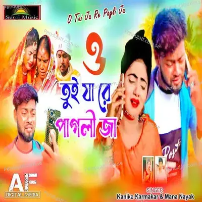 O Tui Ja Re Pagli Ja - Manoj Das