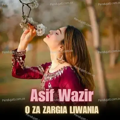 O Za Zargia Liwania - Asif Wazir album cover 