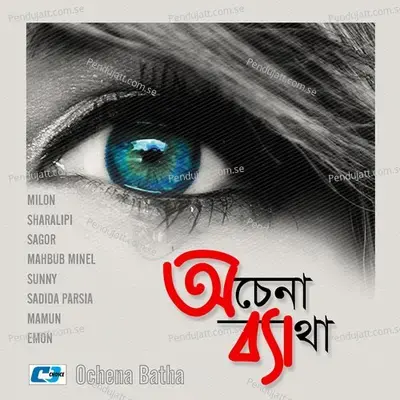 Valobasha - Minal album cover 